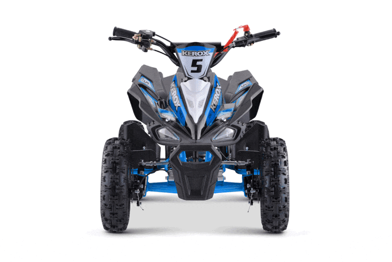 Quad rex BW6 Bleu